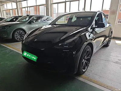 2024 Tesla Model Y Rear-Wheel Drive Version, фото 1, лот 10455348