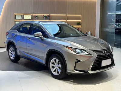 2016 Lexus RX 300 2WD Elite Edition (China V), фото 3, лот 10313389