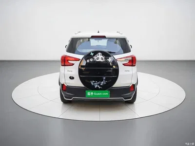 2021 BYD Yuan Pro 401KM Luxury Model, фото 3, лот 10413807