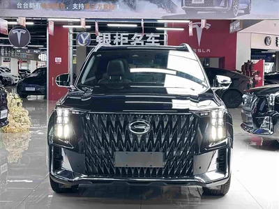 2022 GAC Trumpchi Trumpchi GS8 Dual Engine Series 2.0TM 2WD Premium Edition (7-Seater), фото 3, лот 10418706