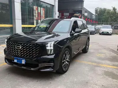 2024 GAC Trumpchi Trumpchi GS8 Navigator Series 2.0TGDI 4WD Luxury Smart Connect Edition, фото 1, лот 11248284