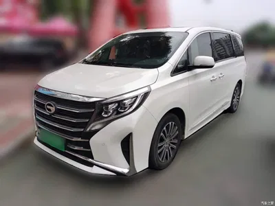 2021 GAC Trumpchi Trumpchi M8 Leading Show Series 390T Prestige Edition, фото 1, лот 10424001