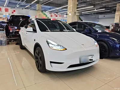 2024 Tesla Model Y Rear-Wheel Drive Version, фото 4, лот 10370104