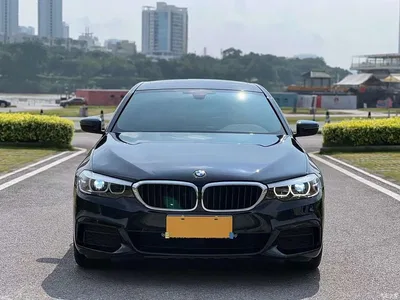 2020 BMW 5 Series 525Li M Sport Package, фото 2, лот 10688908