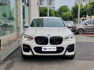 2021 BMW X4 xDrive 25i M Sport Glorious Night Package, фото 2, лот 10413249