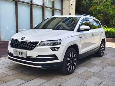2020 Škoda Karoq TSI280 Smart Luxury Edition China VI, фото 1, лот 10349370