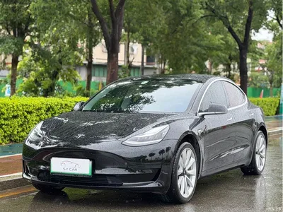 2020 Tesla Model 3 Standard Range Rear-Wheel Drive Upgrade, фото 1, лот 10804098