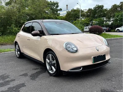 2021 Ora Good Cat 400km Standard Range Venus Edition (LFP), фото 3, лот 10331561