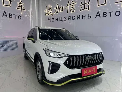 2022 Haval Chitu Power Edition 1.5T Purple Copper Rabbit, фото 3, лот 10296374