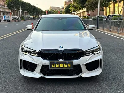 2021 BMW 3 Series 325Li M Sport Package, фото 2, лот 11206330