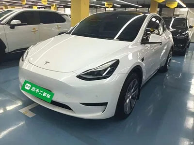 2022 Tesla Model Y Facelift Rear-Wheel Drive Version, фото 1, лот 11132880