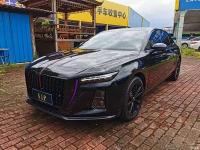 2025 Hongqi H5 2.0T Automatic Mystic Shadow, фото 1, лот 10288677