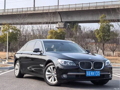 2009 BMW 7 Series 730Li Luxury, фото 3, лот 10459147