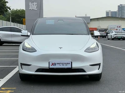 2021 Tesla Model Y Standard Range Rear-Wheel Drive, фото 3, лот 11102454