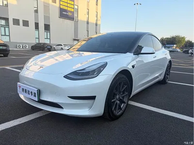 2020 Tesla Model 3 Standard Range Rear-Wheel Drive Upgrade, фото 1, лот 10366852