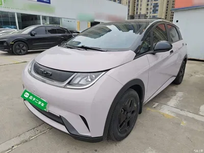 2021 BYD Dolphin Model 405km Fashion Edition, фото 2, лот 10620010