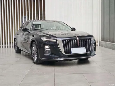 2023 Hongqi H5 1.5T DCT Smart Connect Flag Rhythm, фото 3, лот 10286884