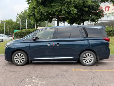 2018 GAC Trumpchi Trumpchi M8 320T Exclusive Edition, фото 3, лот 10416504