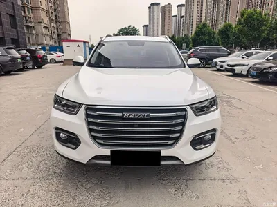 2020 Haval H6 1.5GDIT Automatic Platinum Champion Edition, фото 2, лот 10399391