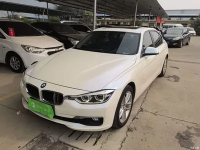 2016 BMW 3 Series 320Li Progressive, фото 2, лот 11095863