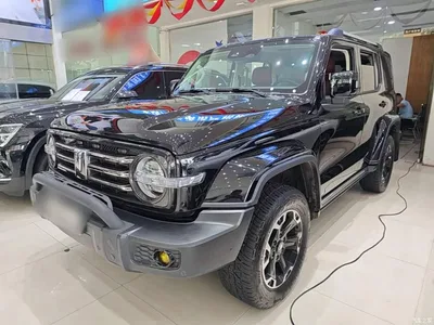 2024 Tank 300 2.0T Explorer, фото 2, лот 10345444