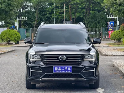 2021 GAC Trumpchi Trumpchi GS8 390T 2WD Luxury Smart Connect Edition (7-seater), фото 2, лот 11552019
