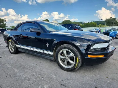 2006 FORD MUSTANG, фото 4, лот 10529678