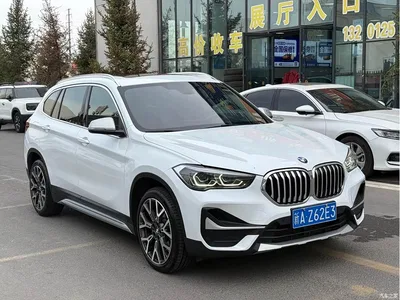 2022 BMW X1 xDrive25Li Premium, фото 1, лот 11012078