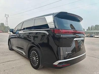 2022 Denza D9 DM-i 1040 Premium, фото 4, лот 11188407