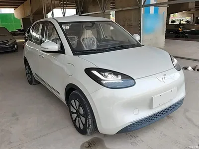 2024 Wuling Motors Wuling Bingo 333km Comfort Edition, фото 4, лот 10371860
