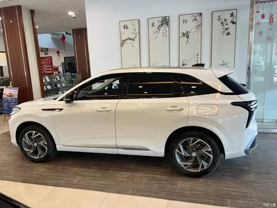 2024 Hongqi HS3 PHEV PHEV 115km Power Edition, фото 3, лот 10286857