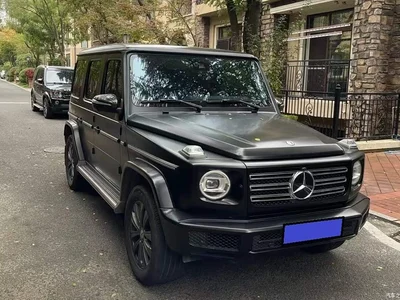 2020 Mercedes-Benz G-Class G 350, фото 2, лот 10295866