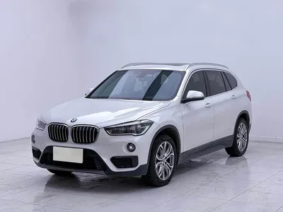2019 BMW X1 sDrive20Li Leading Model, фото 1, лот 10424321