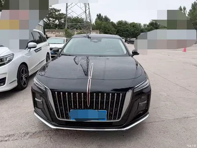 2025 Hongqi H5 2.0T Automatic Flag Celebration 500,000 Units Anniversary Edition, фото 2, лот 10287323