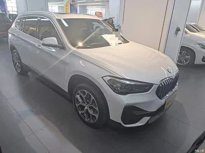 2022 BMW X1 sDrive25Li Leading, фото 4, лот 11089506