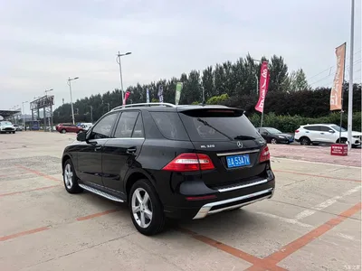 2014 Mercedes-Benz M-Class ML 320 4MATIC, фото 4, лот 10434706