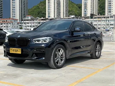 2020 BMW X4 xDrive25i M Sport Package, фото 3, лот 10476906