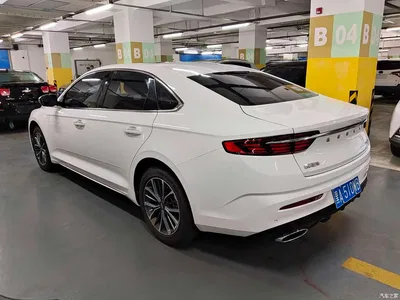 2021 Geely Xing Rui 2.0TD Luxury, фото 4, лот 10359727