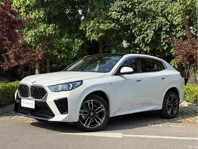2024 BMW X2 (Import) sDrive25i M Sport Package, фото 1, лот 11188190