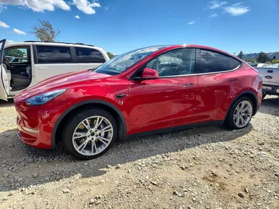 2021 TESLA MODEL Y, фото 1, лот 10856796