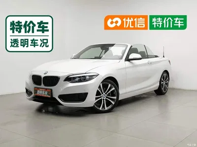 2019 BMW 2 Series (Import) 225i Convertible Coupe Sport Design Package, фото 1, лот 10471441