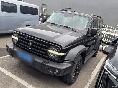 2021 Tank 300 Off-road Edition 2.0T Challenger, фото 2, лот 10615565