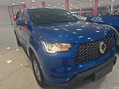 2021 Great Wall Pao 2.0T Commercial Edition Automatic Diesel 2WD Elite Long Box GW4D20M, фото 4, лот 10248932