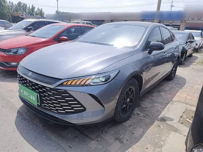 2025 BYD Qin PLUS DM-i Smart Drive 55KM Leader, фото 1, лот 11518477
