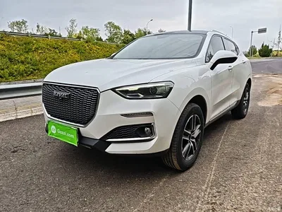 2019 Haval F5 National Trend Edition 1.5T iStyle China V, фото 2, лот 10286037