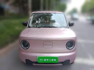 2023 Geely Galaxy Panda Mini 200km Endurance Bear, фото 2, лот 10895470