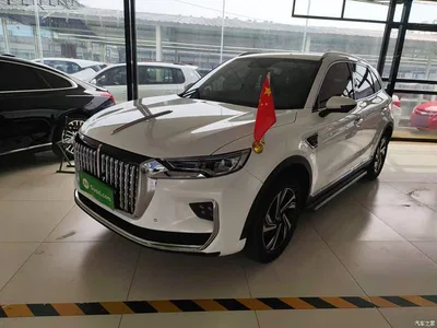 2022 Hongqi HS5 Facelift 2.0T Smart Flag Enjoyment Edition, фото 1, лот 10289682