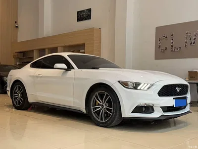 2017 Ford Mustang 2.3T Performance Edition, фото 3, лот 11132745