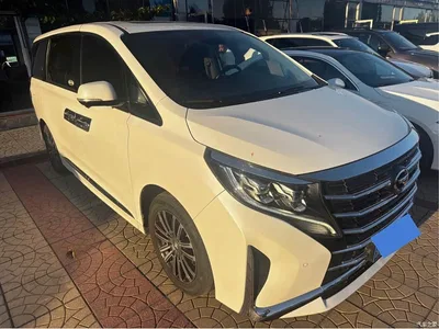 2021 GAC Trumpchi Trumpchi M8 Leading Show Series 390T Ultimate Edition, фото 3, лот 11008052