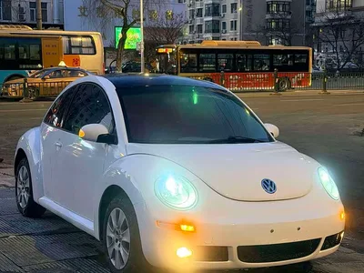 2008 Volkswagen Beetle 2.0 AT Standard, фото 1, лот 10422600